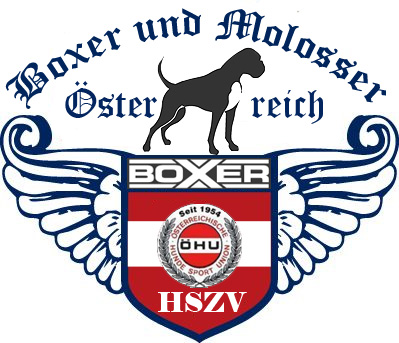 Österr.Boxer und Molosser