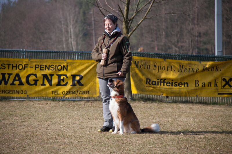 Hundeausbildung 